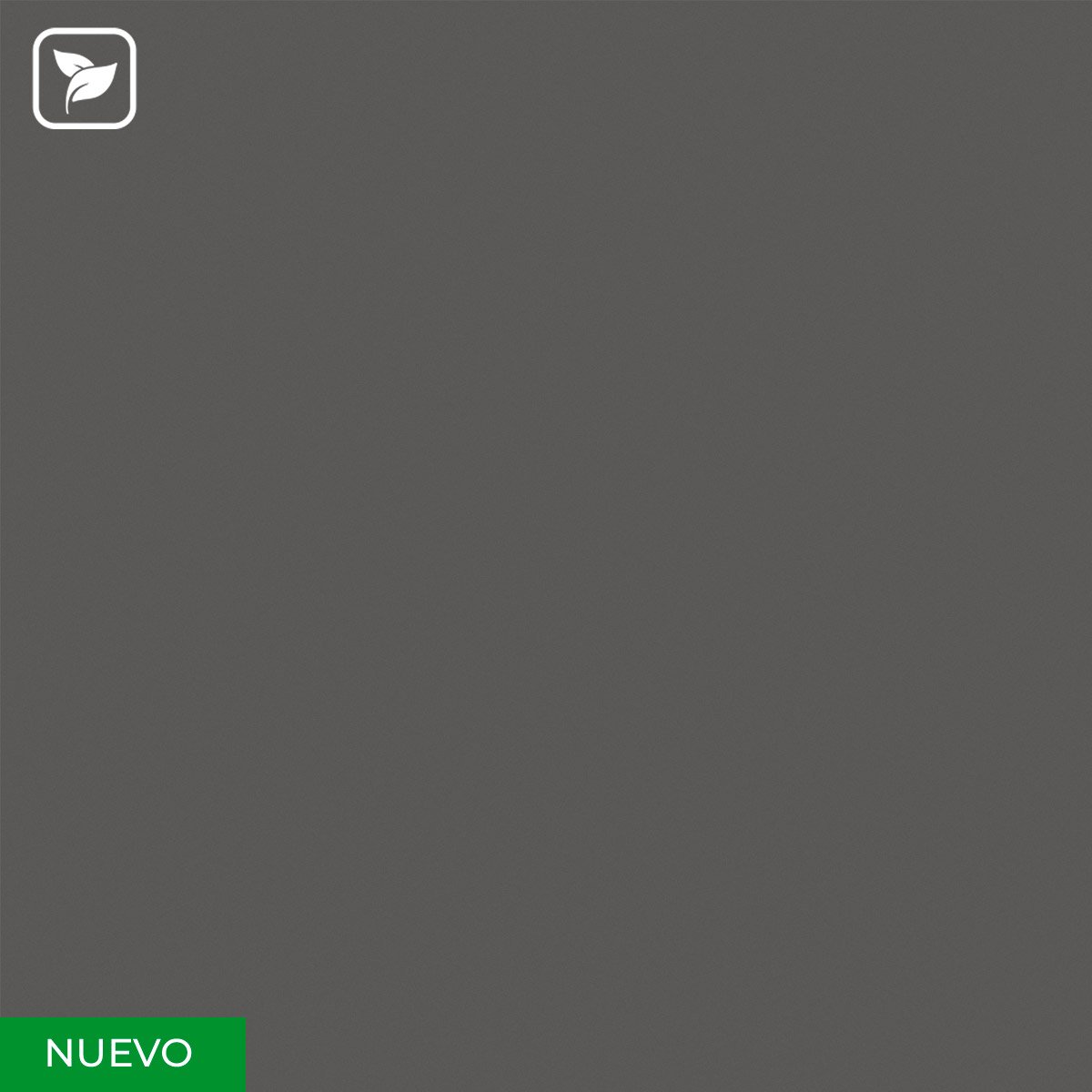 Gris-Ceniza