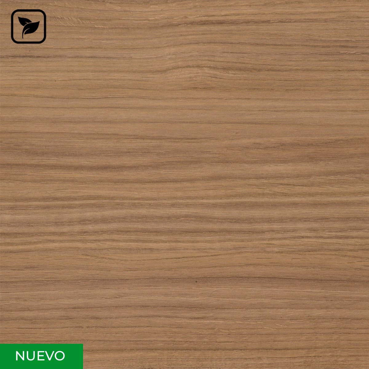 Nogal-Biloba
