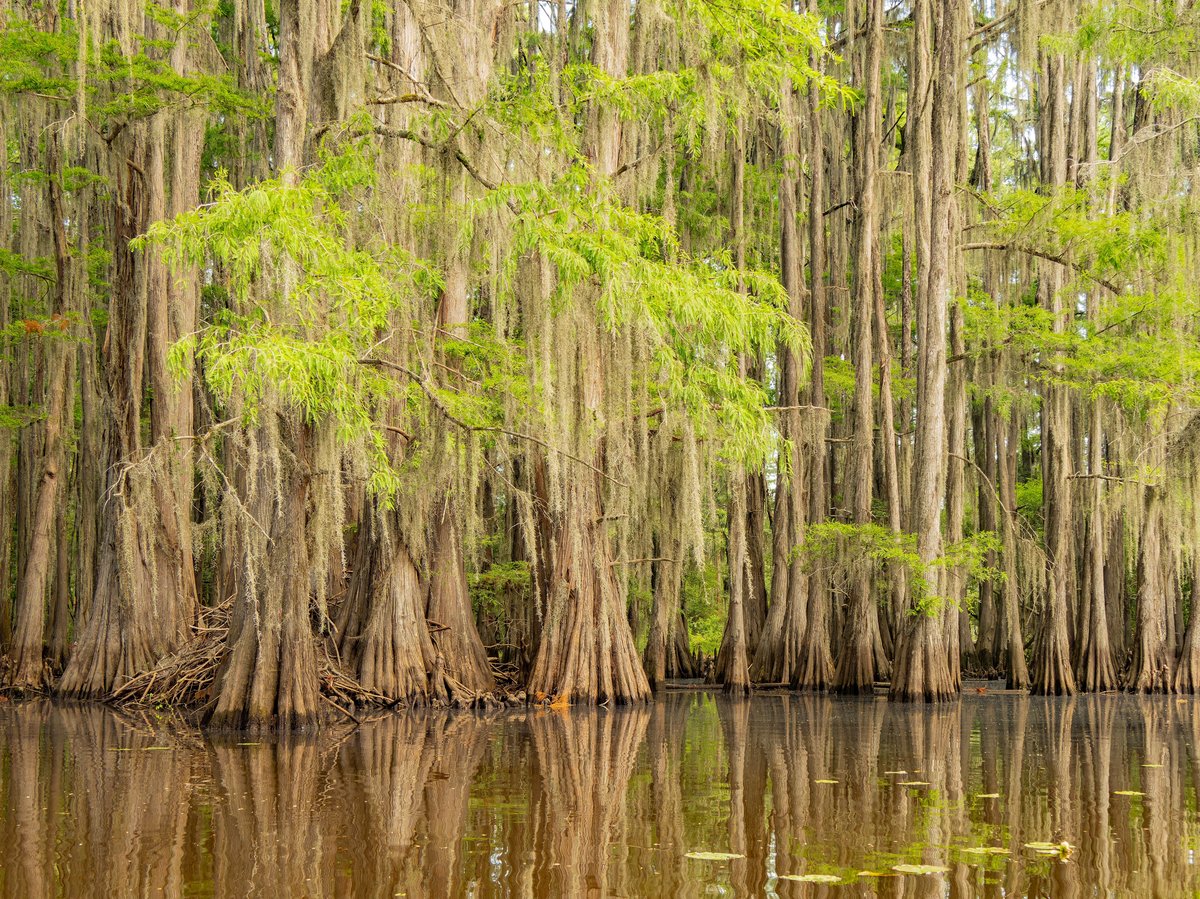shutterstock_2350089501
