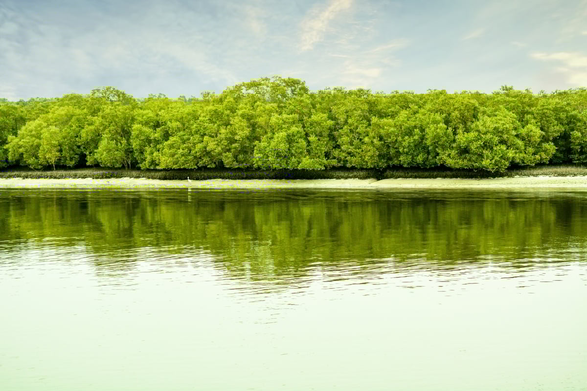 shutterstock_2528393873